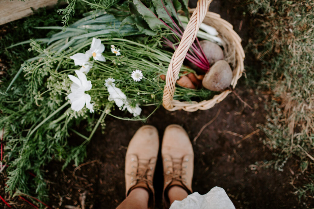 Nutritional support tips for mineral balance.
