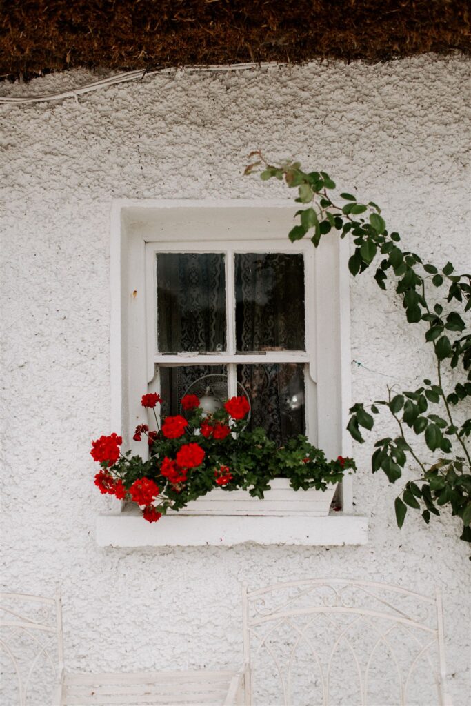 What are my red flags when buying a home?